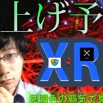 【仮想通貨リップル，XEM,IOST】XRP爆上げ予兆！！