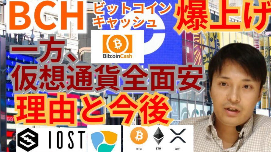 【仮想通貨BTC, ETH, XRP, IOST, NEM, BCH】ビットコインキャッシュ爆上げ‼️一方で仮想通貨全面安の理由と今後