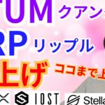 【仮想通貨BTC, ETH, XRP, XLM, IOST, QTUM】クアンタム＆リップル爆上げ‼️ココまで上がる