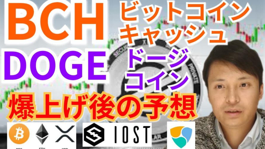 【仮想通貨BTC, ETH, XRP, BCH, IOST, XEM, DOGE】ビットコインキャッシュ&ドージコイン爆上げ後の予想