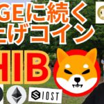 【仮想通貨BTC, ETH, XRP, IOST, SHIB, FTT】ドージコイン(DOGE)に続く爆上げコインは、SHIBA INU(SHIB)⁉️