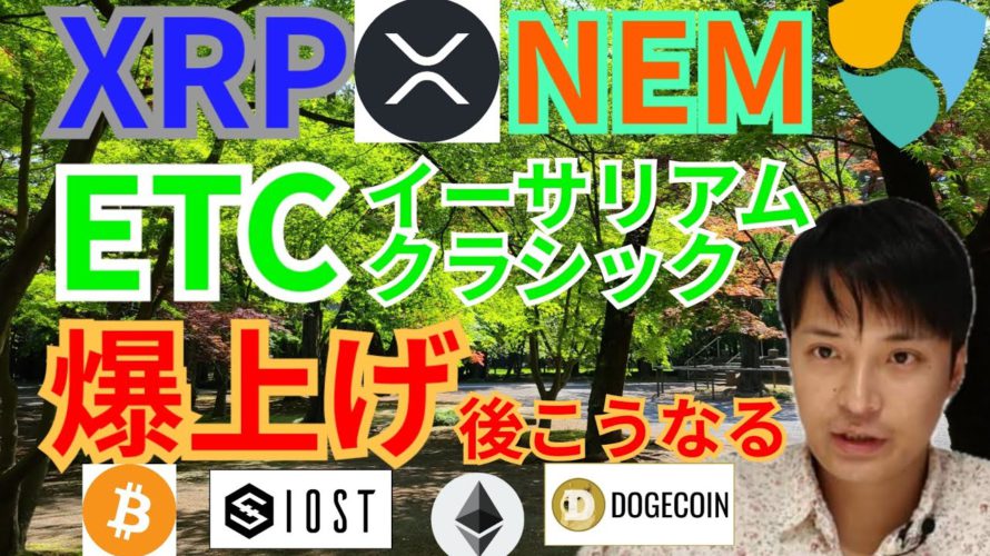 【仮想通貨BTC, ETH, XRP, NEM, IOST, ETH】リップル、ネム、イーサリアムクラシック爆上げ後こうなる‼️