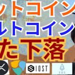 【仮想通貨BTC, ETH, XRP, NEM, IOST, EOS】ビットコイン&アルトコインまだ下落で売った方がいい⁉️