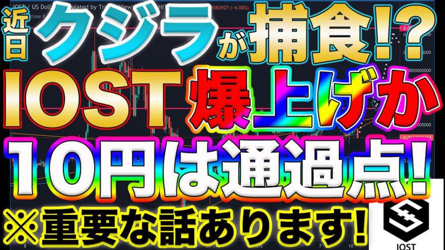 【次のターゲットはIOST?】※重要な話あります!IOST近日クジラが捕食!?このバブルで勝てる行動、負ける行動教えます!【仮想通貨】【ビットコイン】