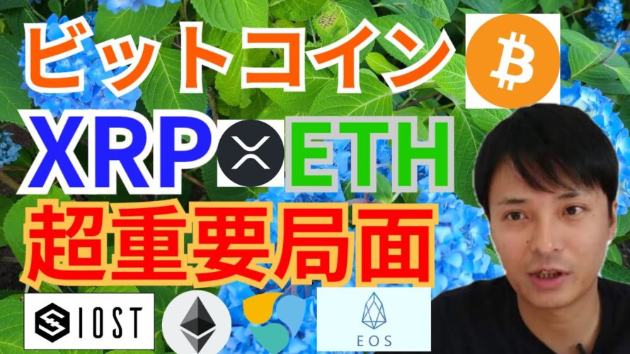 【仮想通貨BTC, ETH, XRP, IOST, EOS】ビットコイン、リップル、イーサリアム超重要局面‼️