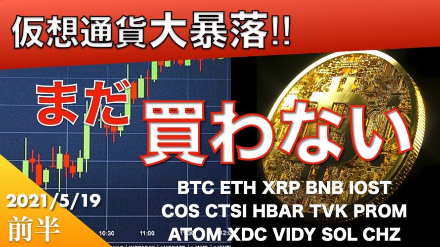 【BTC、ETH、XRP、BNB、IOST】仮想通貨大暴落!いつ買うか?(2021年5月19日 相場分析)前半