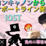 【仮想通貨ビットコイン，リップル,IOST,DOGE,SHIB】仮想通貨正念場！イーロンマスクの１tweetで大波乱！ただチャート的には売りを誘ってるふうにしか見えません。