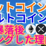 【仮想通貨BTC, ETH, XRP, NEM, IOST, DOGE】ビットコイン&アルトコイン大暴落ロングした理由🤘
