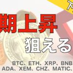 【IOST、ADA、XEM、CHZ、MATIC、SOL、UNI】下落継続　短期上昇狙える？（2021年5月31日 相場分析）後半