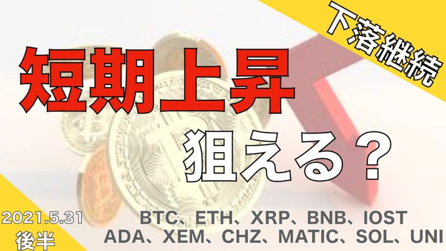 【IOST、ADA、XEM、CHZ、MATIC、SOL、UNI】下落継続　短期上昇狙える？（2021年5月31日 相場分析）後半