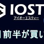 【IOST】まだ焦って買う必要なし。IOSTの現実的分析。5月後半～6月前半が買い時。