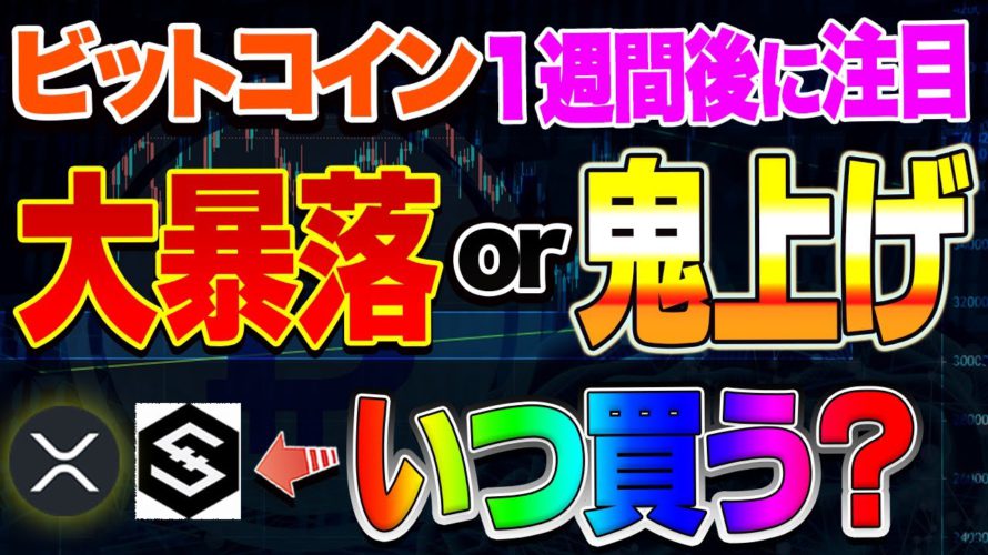 【仮想通貨】リップル、IOSTなどアルトコインはまだ買うな!買うタイミングはここで見る!!