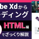 【Xdからコーディング HTML編】10分でざっくりXdからコーディングする流れを解説します