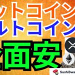 【仮想通貨BTC, XRP, ETH, IOST, DOT, SUSHI】全面安だがショートするコインは選べ
