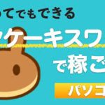 【初めてでもできる】パンケーキスワップ（Pancake Swap）で稼ごう！基本的な使い方をわかりやすく解説！＜2021年6月版＞