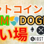 【仮想通貨BTC, XRP, ETH, IOST, NEM, DOGE】買い場はココ‼️ビットコイン、ネム＆ドージコイン