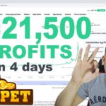 Kumita ako ng ₱321,500 in 4 Days sa My DeFi Pet – DPET Token