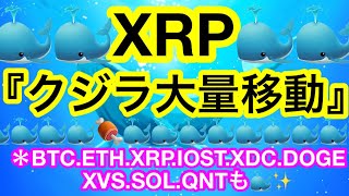🐳リップルクジラ出現🐳『The B word』は日本時間22日午前1時頃😊
【仮想通貨 BTC.ETH.XRP.IOST.XDC.DOGE.XVS.SOL.QNT】