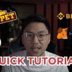 Quick Tutorial on How to Start Playing My Defi Pet