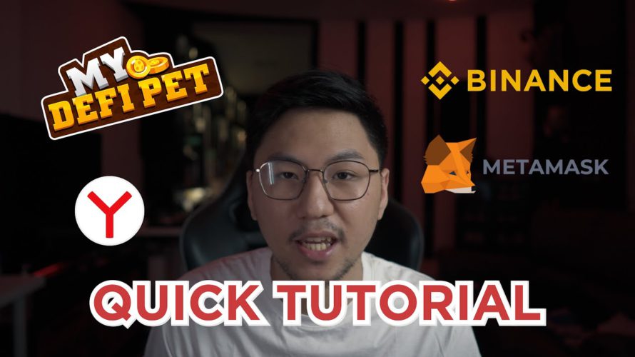 Quick Tutorial on How to Start Playing My Defi Pet