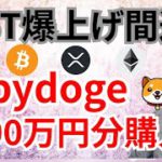 IOSTファンダの期待で爆上げ間近⁉️Babydogeを1100万円分購入した理由💰️【仮想通貨BTC, ETH, XRP, IOST, Babydogeチャート分析】