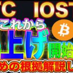 【パレットトークン配布開始】ビットコイン、IOSTは底固め完了!?現物仕込みたい方は必見です!【仮想通貨】