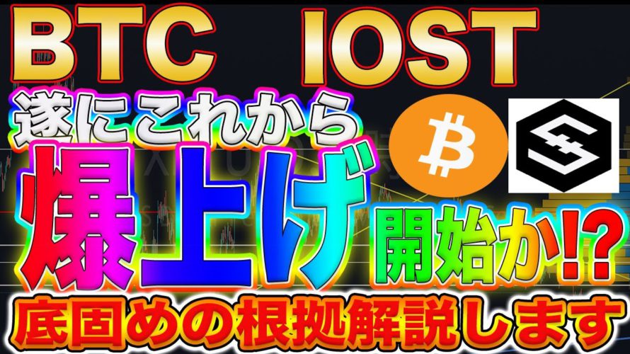 【パレットトークン配布開始】ビットコイン、IOSTは底固め完了!?現物仕込みたい方は必見です!【仮想通貨】