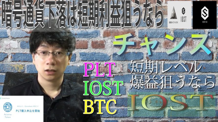 【パレットトークン・IOST】BTC調整局面で下落のアルトコイン。買いそびれた銘柄は価格帯買い増し比率を意識購入していこう。IOST1円台購入は超短期利益に活躍。