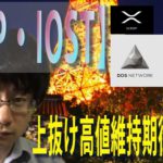 【パレットトークン・XRP・IOST・BTC】期待できる展開。