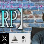 【パレットトークン・IOST・XRP・BTC】XRPの上昇パターンと利確シグナルを考察。IOSTまだまだ爆上げの予兆は消えてない。