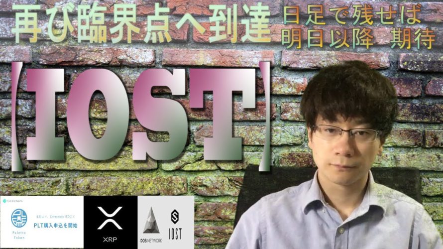 【パレットトークン・XRP・IOST・BTC】IOST再び臨界点へ。
