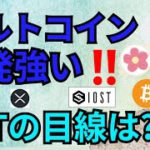 アルトコイン反発強い‼️パレットトークンの目線は⁉️【仮想通貨 BTC ETH XRP IOST PLT ALICE チャート分析】