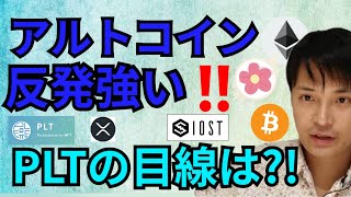 アルトコイン反発強い‼️パレットトークンの目線は⁉️【仮想通貨 BTC ETH XRP IOST PLT ALICE チャート分析】