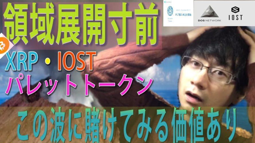 【ビットコイン,XRP,IOST,パレットトークン】暗号通貨領域展開。賭けてみる価値あり。