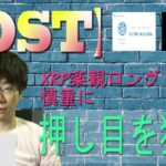 【パレットトークン・XRP・IOST・BTC】パレットトークン上抜け！利益は指値でカバーして資金を守ろう。