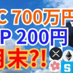 ビットコイン 700万円 ＆ リップル 200円 ８月末?!【仮想通貨 BTC ETH XRP IOST SAND ALICE 相場分析】