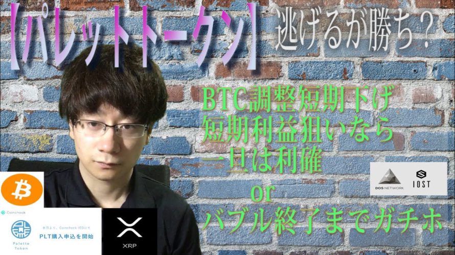 【パレットトークン・IOST】パレットトークン利確して様子見か別れるパターン。BTC40000$目指すなら一旦は逃げる?
