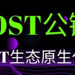 数字货币IOST,IOST公链，国产公链，未来潜力与机会!