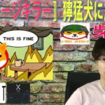 【IOST・BTC・XRP】SHIB燃焼計画で長期保有者はガチホの構えで間違いなし。