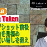 【パレットトークン・XRP・IOST・BTC】スナップショット前後のIOSTの価格の変動を考察し、調整ポイントを見極めていく。