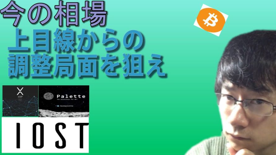 【パレットトークン・IOST・BTC・XRP】今の相場、調整局面を狙う。