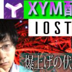 【XIM・SHIB・IOST・BTC・XRP】XYM爆上げの伏線あり。