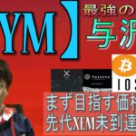 【PLT・XYM・SHIB・IOST・BTC・XRP・SFP】XYM覚醒上げ二章始まる。