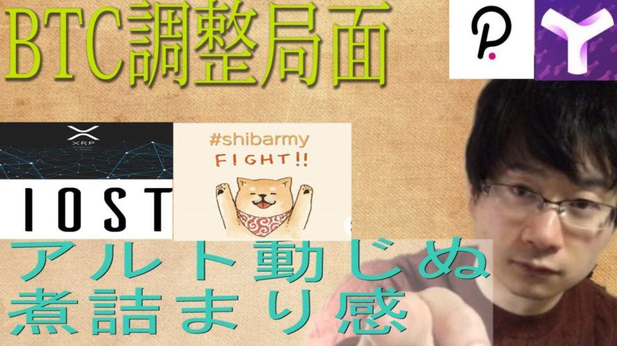 【XYM・SHIB・IOST・BTC・XRP・ポルカドット】フラッシュクラッシュでもアルト動じぬからの煮詰まり感。