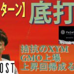 【PLT・XYM・SHIB・IOST・BTC・XRP】全戻しからのアルトターン。