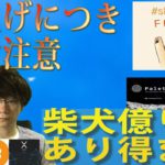 【パレットトークン・IOST・BTC・XRP・SHIB】柴犬コインを草コインと考えてると怪我します。