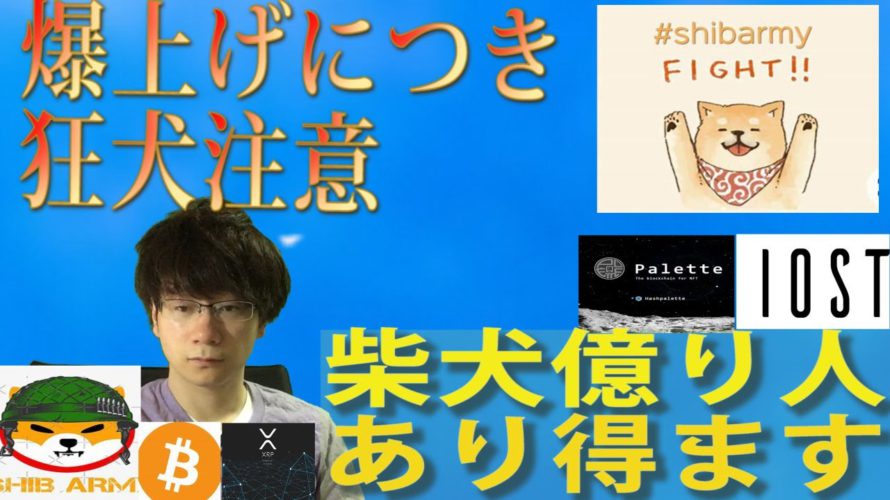 【パレットトークン・IOST・BTC・XRP・SHIB】柴犬コインを草コインと考えてると怪我します。