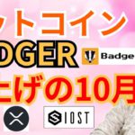 ビットコイン BADGER DAO 爆上げの10月🍁🌾【仮想通貨 BTC ETH XRP IOST BADGER チャート分析】