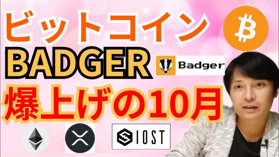 ビットコイン BADGER DAO 爆上げの10月🍁🌾【仮想通貨 BTC ETH XRP IOST BADGER チャート分析】