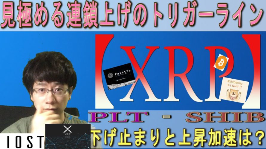 【PLT・SHIB・IOST・BTC・XRP】リップル大幅上昇はこのライン。